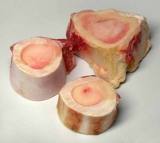 Real beef marrow bones
