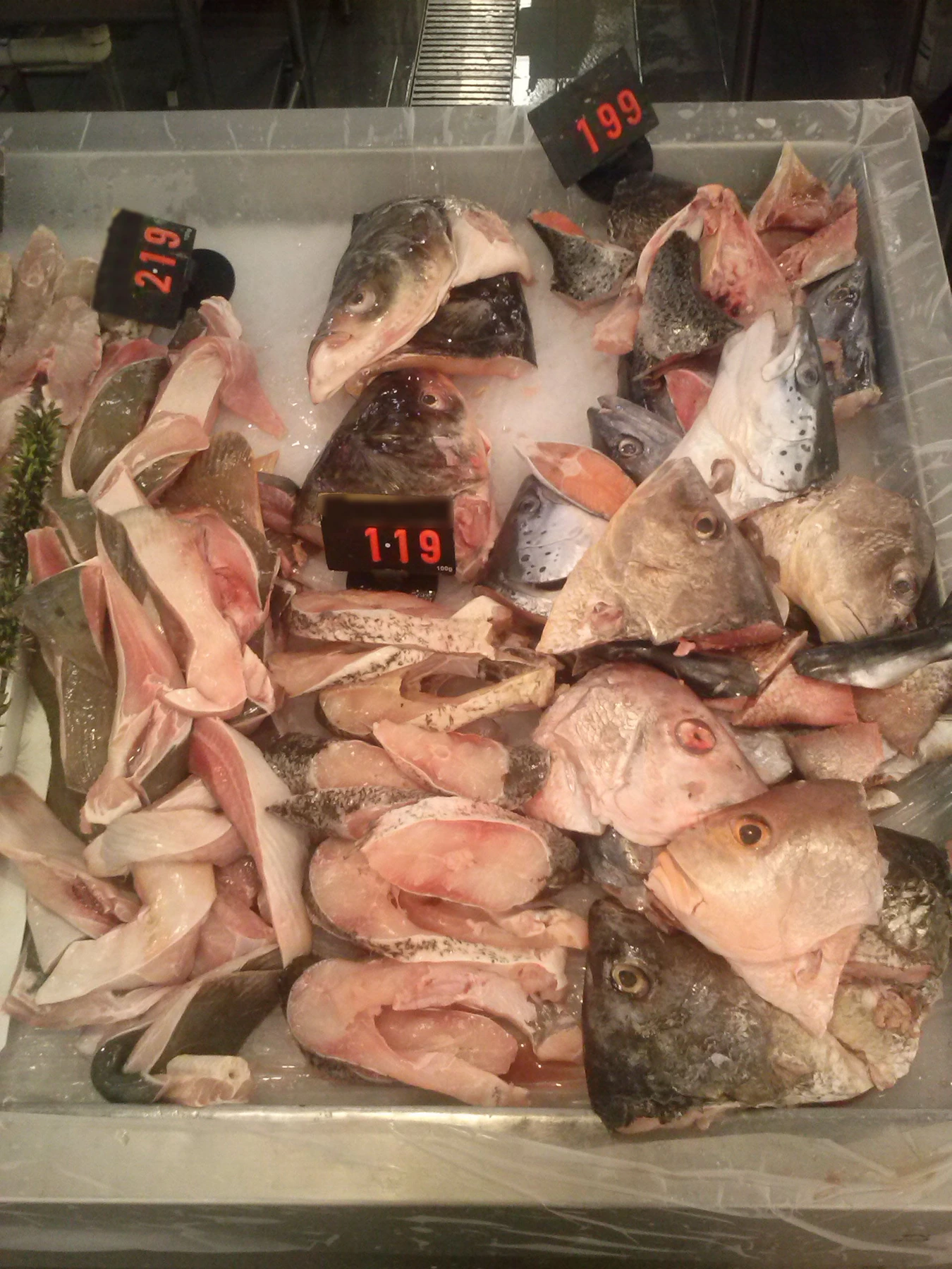 Real fish heads for sale
